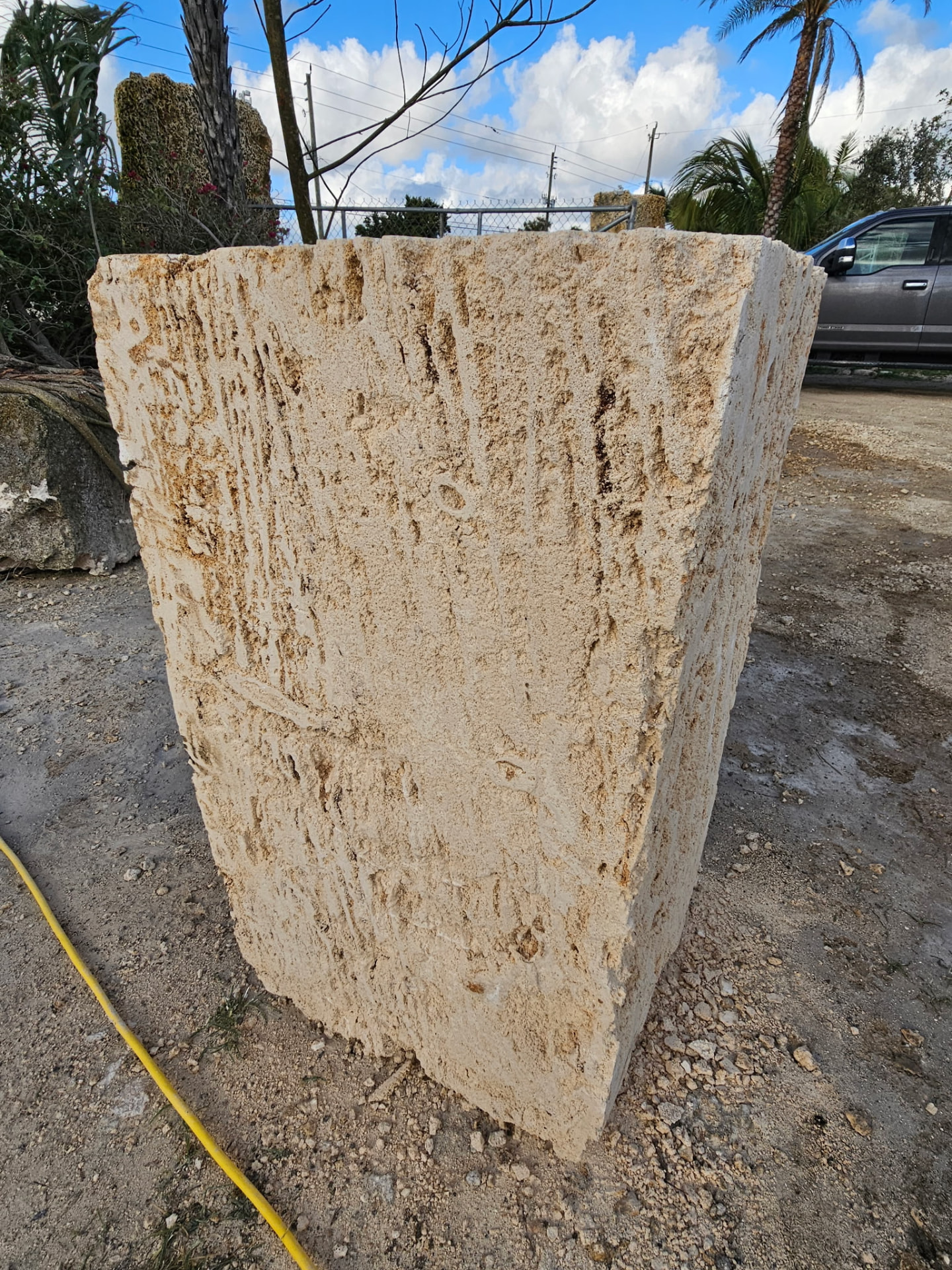 A large one-of-a-kind stone piece with a natural chiseled face in the yard
